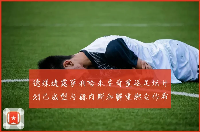 德媒透露萨利哈米季奇重返足坛计划已成型与赫内斯和解重燃合作希望