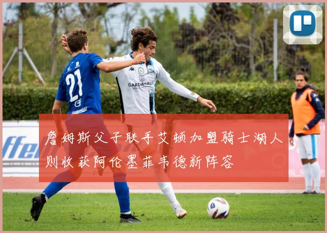 詹姆斯父子联手艾顿加盟骑士湖人则收获阿伦墨菲韦德新阵容