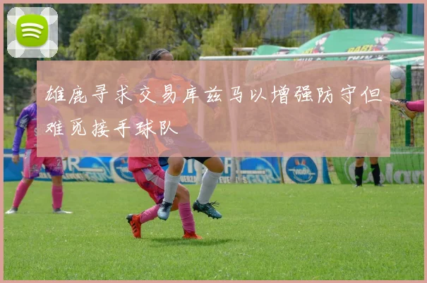 雄鹿寻求交易库兹马以增强防守但难觅接手球队